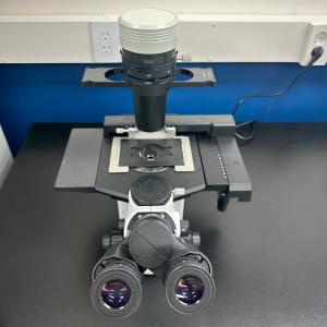Compact Cell Culture microscope Olympus CKX53 이미지