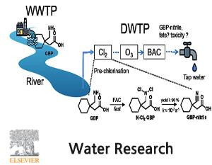 Occurrence and transformation of gabapentin in urban water quality engineering: Rapid formation of nitrile from amine during drinking water chlorination
