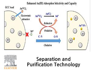 Enhanced Gold(III) adsorption using glutaraldehyde-crosslinked chitosan beads: Effect of crosslinking degree on adsorption selectivity, capacity, and mechanism