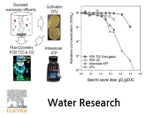 Inactivation efficiency of Escherichia coli and autochthonous bacteria during ozonation of municipal wastewater effluents quantified with flow cytometry and adenosine tri-phosphate analyses