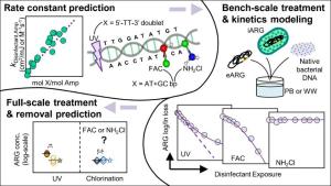 Application of Nucleotide-Based Kinetic Modeling Approaches to Predict Antibiotic Resistance Gene Degradation during UV- and Chlorine-Based Wastewater Disinfection Processes: From Bench- to Full-Scale