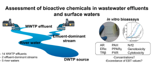 Assessment of bioactive chemicals in wastewater effluents and surface waters using in vitro bioassays in the Nakdong River basin, Korea
