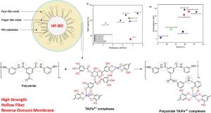 Leveraging tannic acid-ferric iron (TA/Fe3+) complexation in polyamide selective layer for synthesizing robust thin film composite reverse osmosis (TFC-RO) hollow fiber membranes for saline water treatment