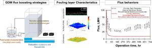 Boosting water flux in gravity-driven membrane filtration: Impacts of relaxation strategies, module configurations, and feed water characteristics