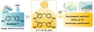 Halogenated bisphenol F compounds: Chlorination-mediated formation and photochemical fate in sunlit surface water