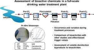 In vitro bioanalytical assessment of the occurrence and variation of nine bioactivities in a drinking water treatment plant in Korea